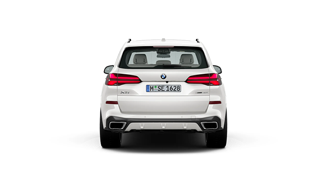 BMW X5 Rear View