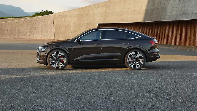 ऑडी Q8 स्पोर्टबैक ई-ट्रॉन लेफ्ट साइड दृश्य