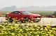 Mustang ThumbNail Images
