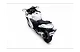 Hayabusa ThumbNail Images