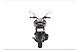 FZ S FI ThumbNail Images