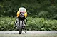 Thruxton 400 ThumbNail Images