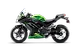 Ninja 300 ThumbNail Images