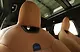 Countryman C ThumbNail Images