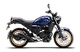 FZ X ThumbNail Images